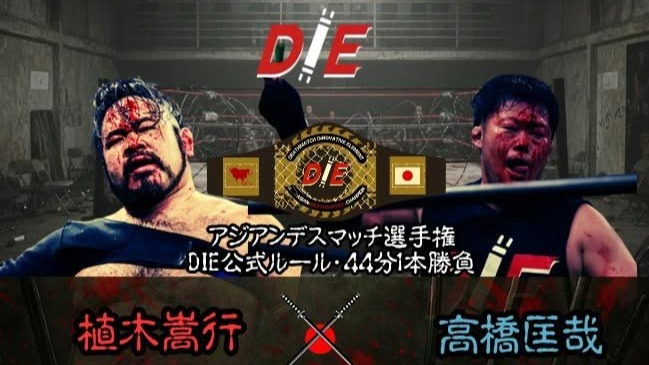 DIE 21